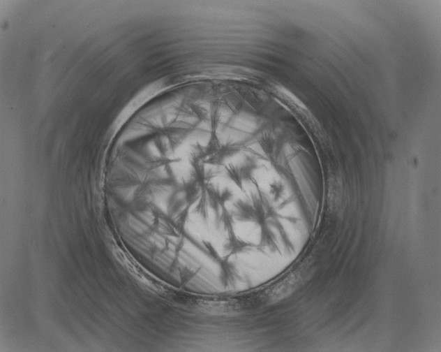 X0000082711378200702091737