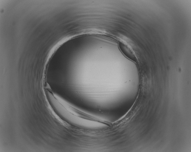 X0000082711379200702091737