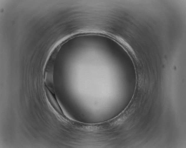 X0000082711380200702091737