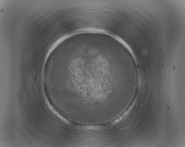 X0000082711381200702091737