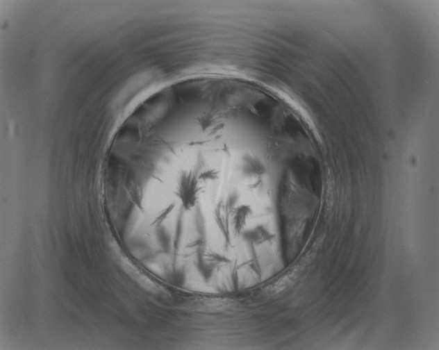 X0000082711382200702091737