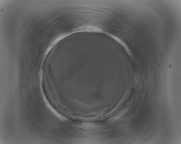 X0000082711383200702091737