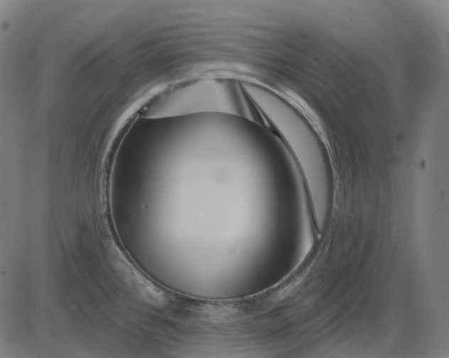 X0000082711384200702091737