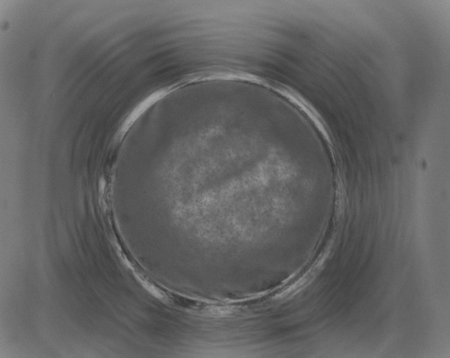 X0000082711385200702091737