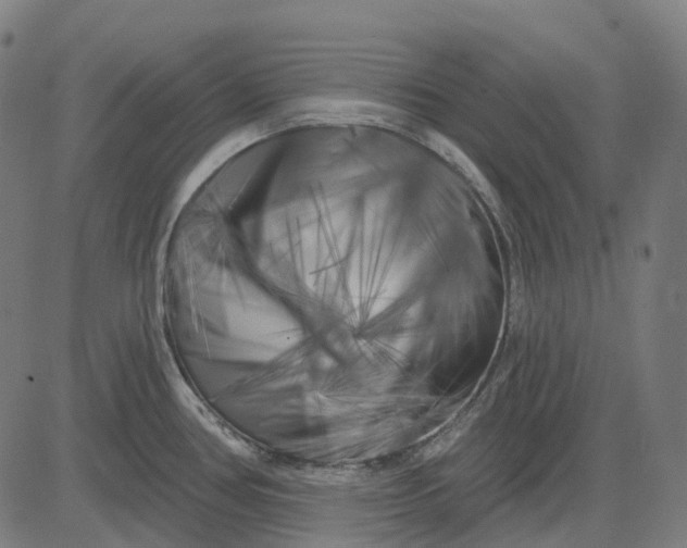 X0000082711386200702091736