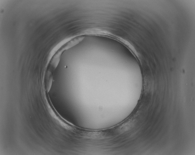 X0000082711387200702091736