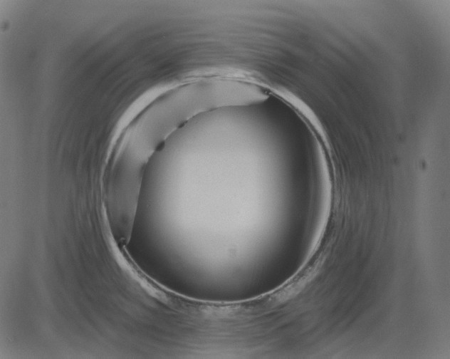 X0000082711389200702091736