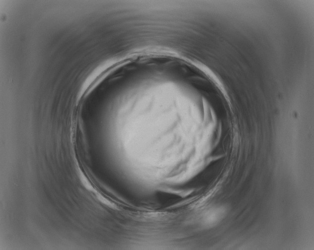 X0000082711390200702091736