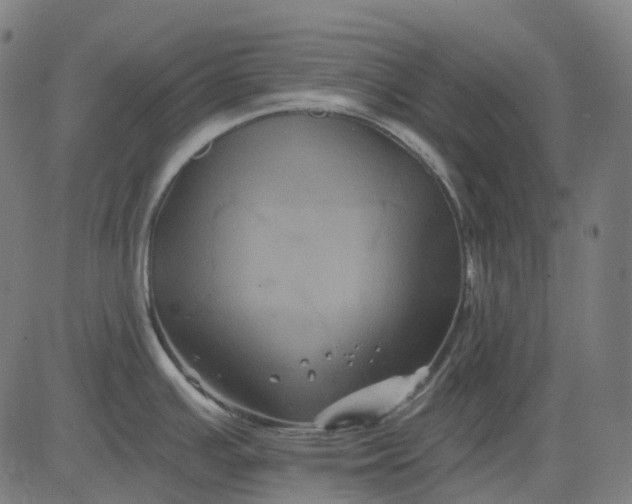 X0000082711391200702091736