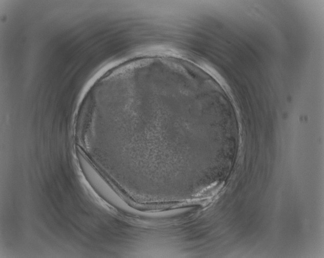 X0000082711392200702091736