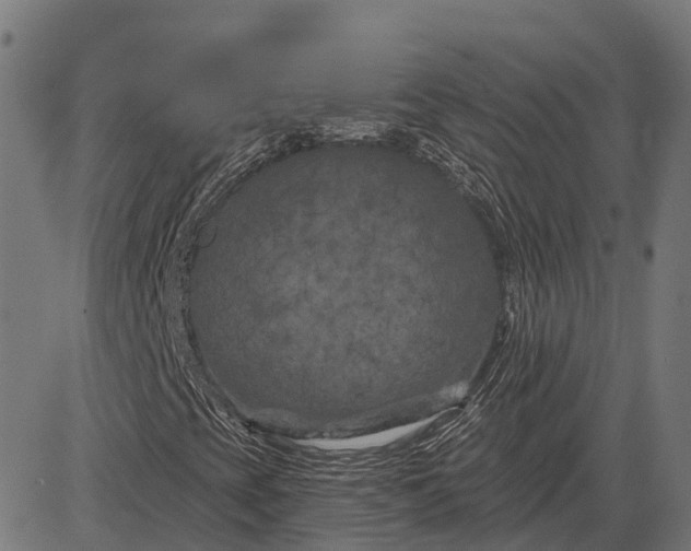 X0000082711393200702091736