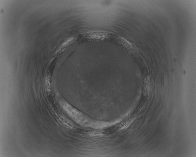 X0000082711394200702091736