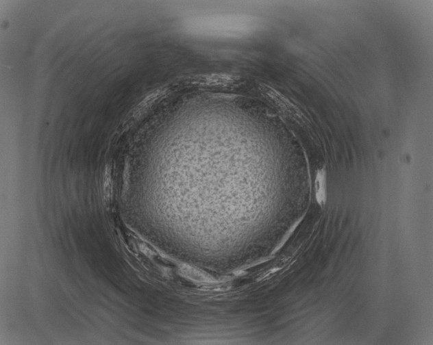 X0000082711395200702091736