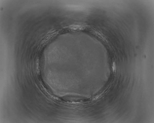 X0000082711396200702091736