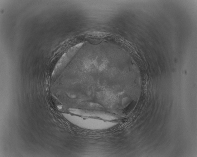 X0000082711397200702091736