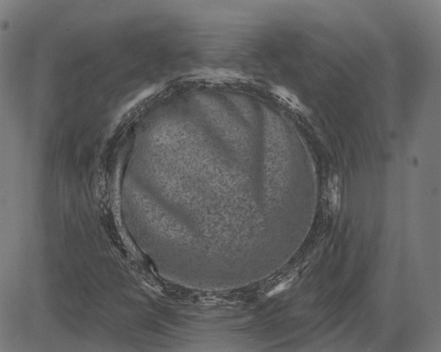 X0000082711398200702091736