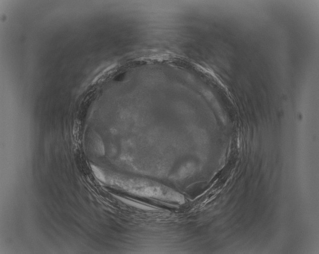 X0000082711399200702091736