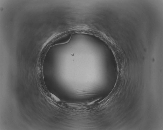 X0000082711400200702091736