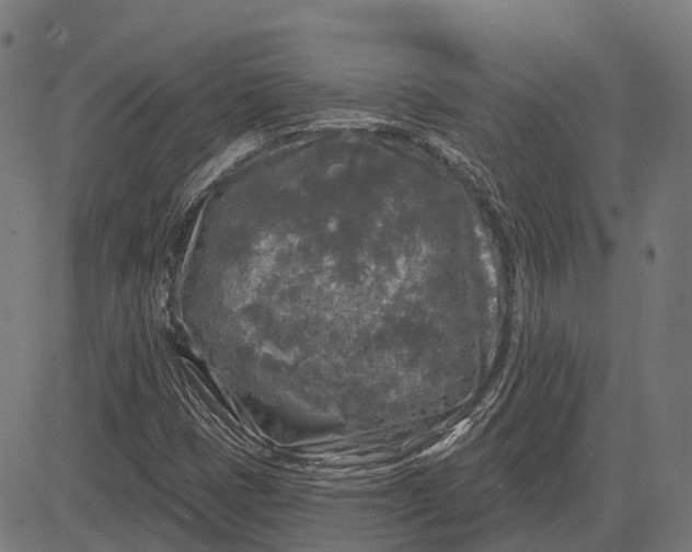 X0000082711401200702091736