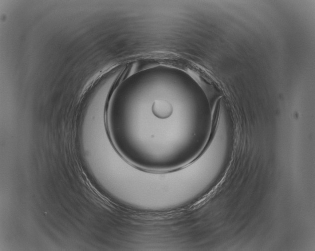 X0000082711402200702091736