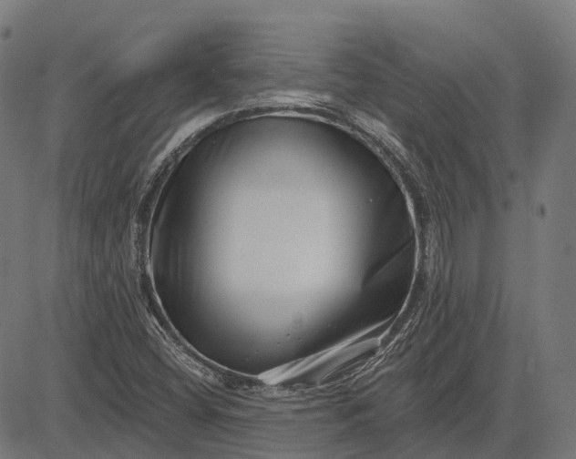 X0000082711404200702091736