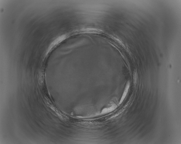 X0000082711405200702091736