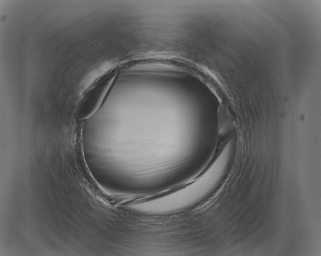 X0000082711406200702091736