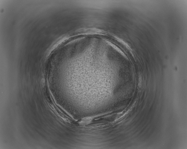 X0000082711407200702091736