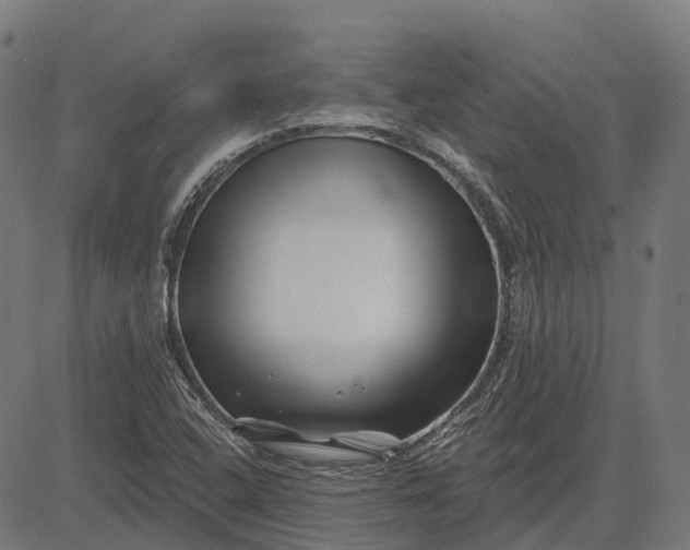 X0000082711408200702091736