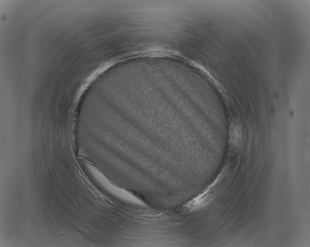 X0000082711410200702091736