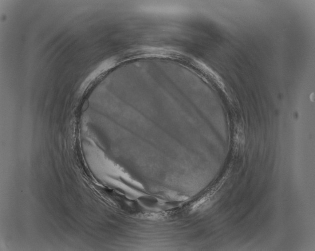 X0000082711411200702091736