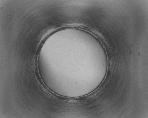 X0000082711412200702091736