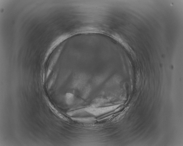 X0000082711413200702091736