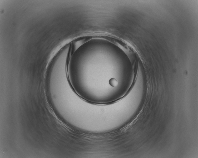 X0000082711414200702091736