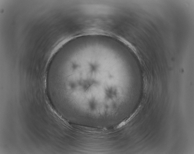 X0000082711415200702091736