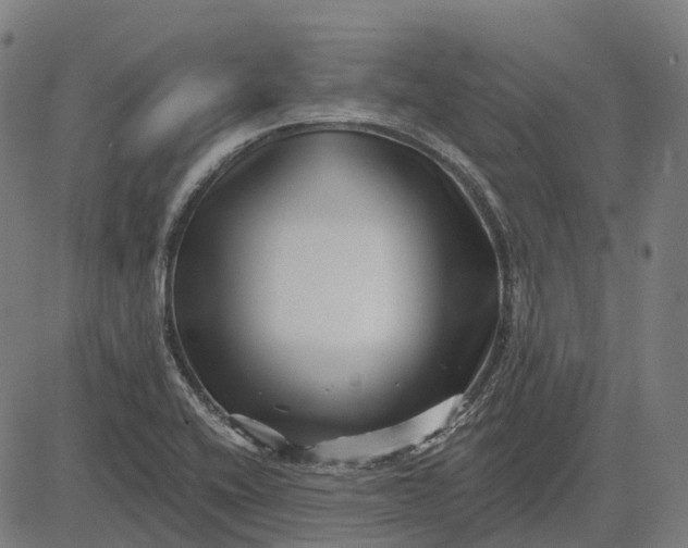 X0000082711416200702091736