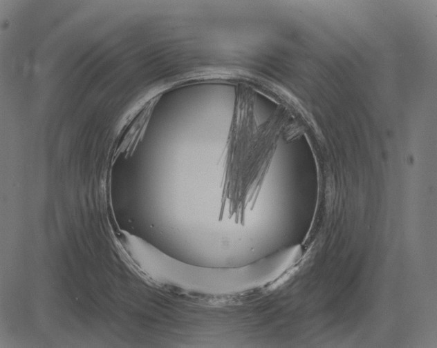 X0000082711417200702091736