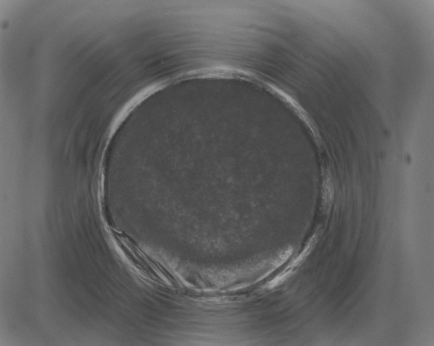 X0000082711418200702091736