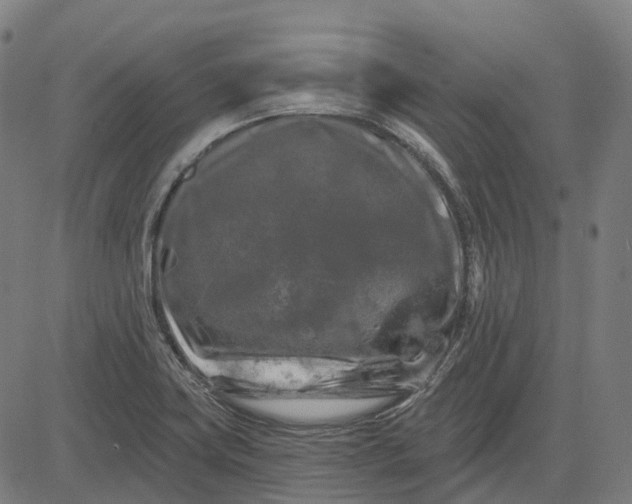 X0000082711419200702091736