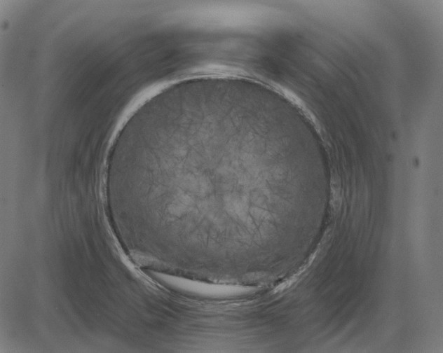 X0000082711421200702091736