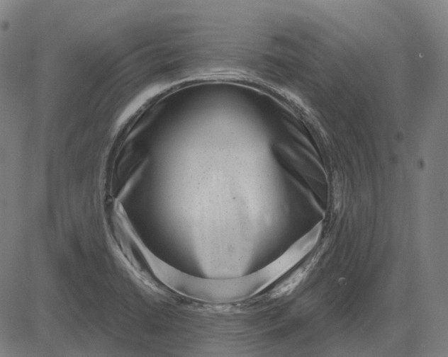 X0000082711422200702091736