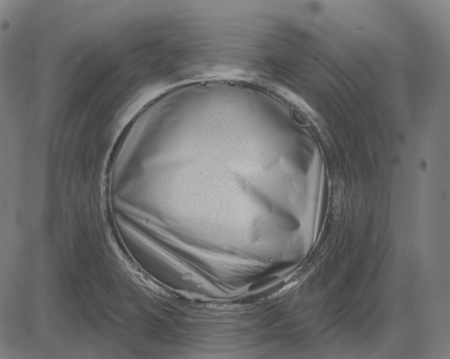 X0000082711423200702091736