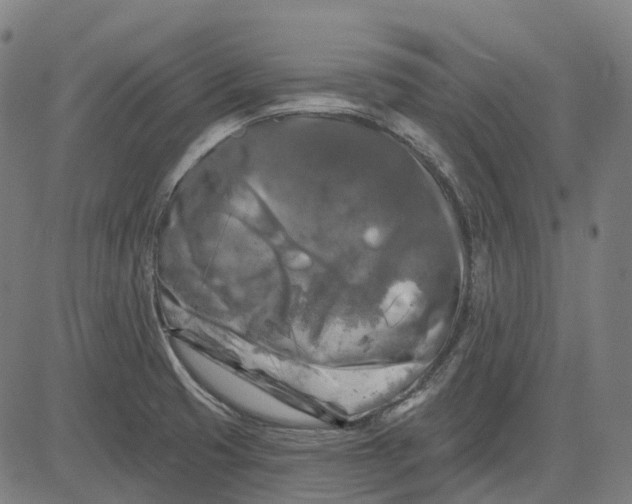 X0000082711425200702091736