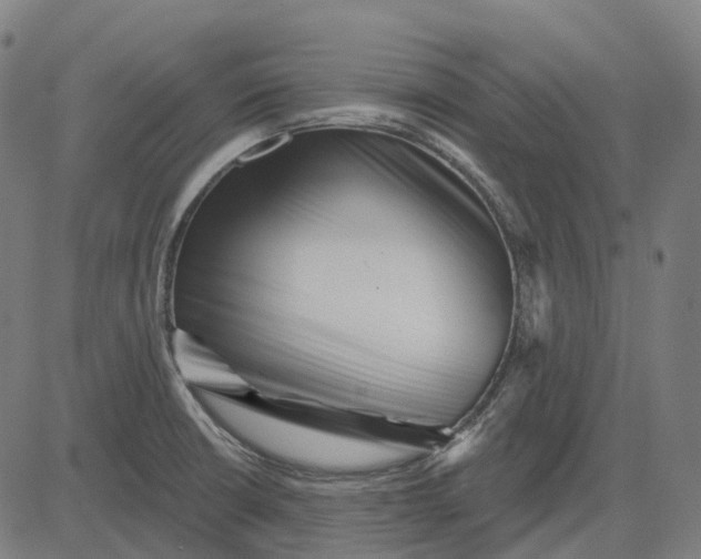 X0000082711426200702091736