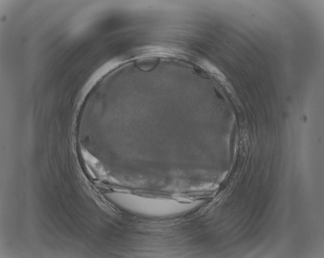 X0000082711427200702091736