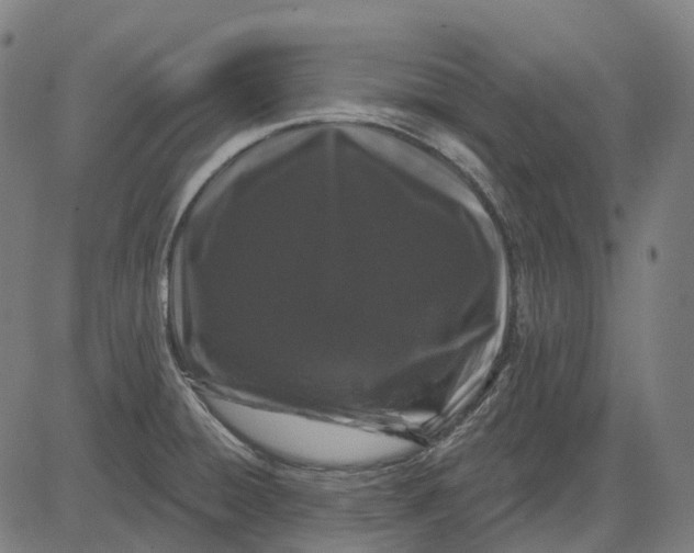 X0000082711428200702091736