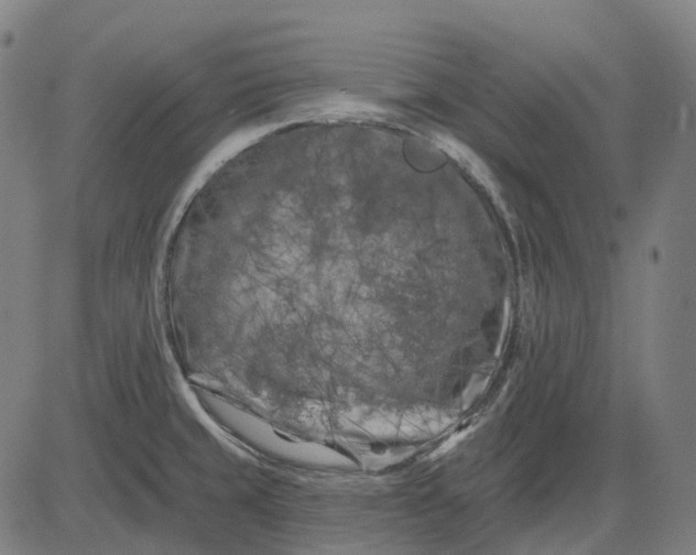 X0000082711429200702091736