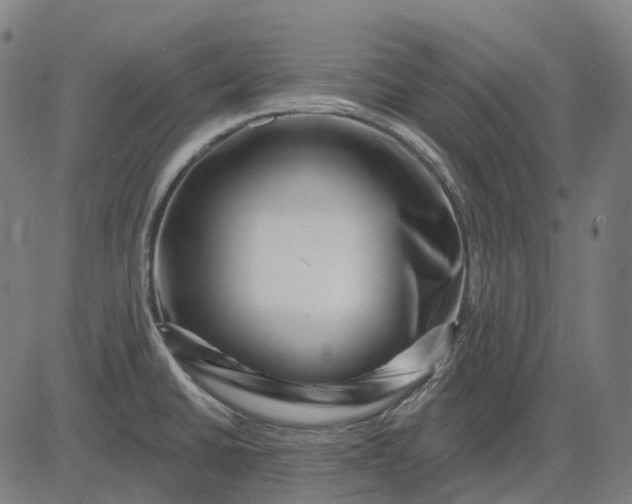 X0000082711430200702091736