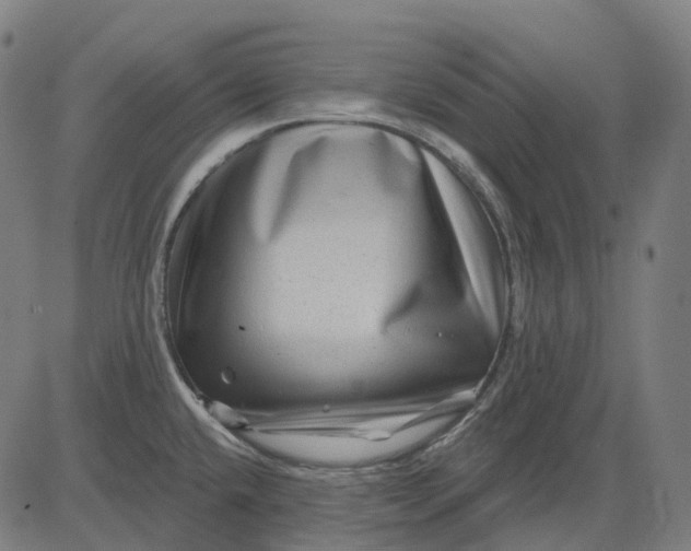 X0000082711432200702091736