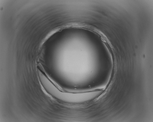 X0000082711433200702091736